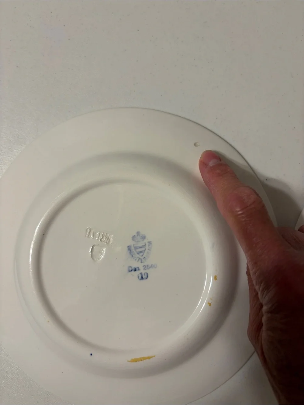 Vintage Waechtersbach GERMANY Rose Dec.2540 hand painted salad plates pair